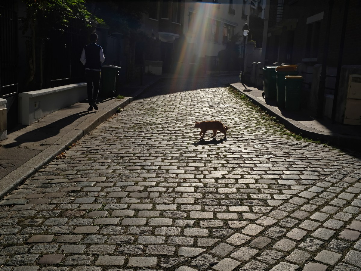 An Interview with Roger&nbsp;Camp